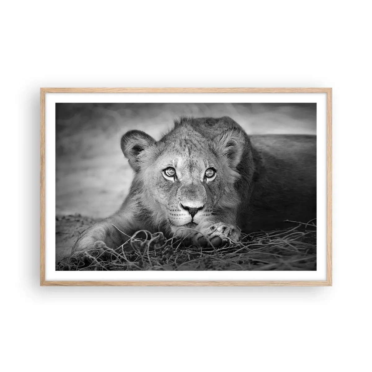Plakat i ramme af lyst egetræ - Kongelig hvalp - 91x61 cm