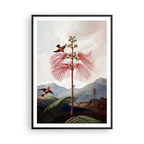 Plakat i sort ramme - I et tropisk paradis - 70x100 cm