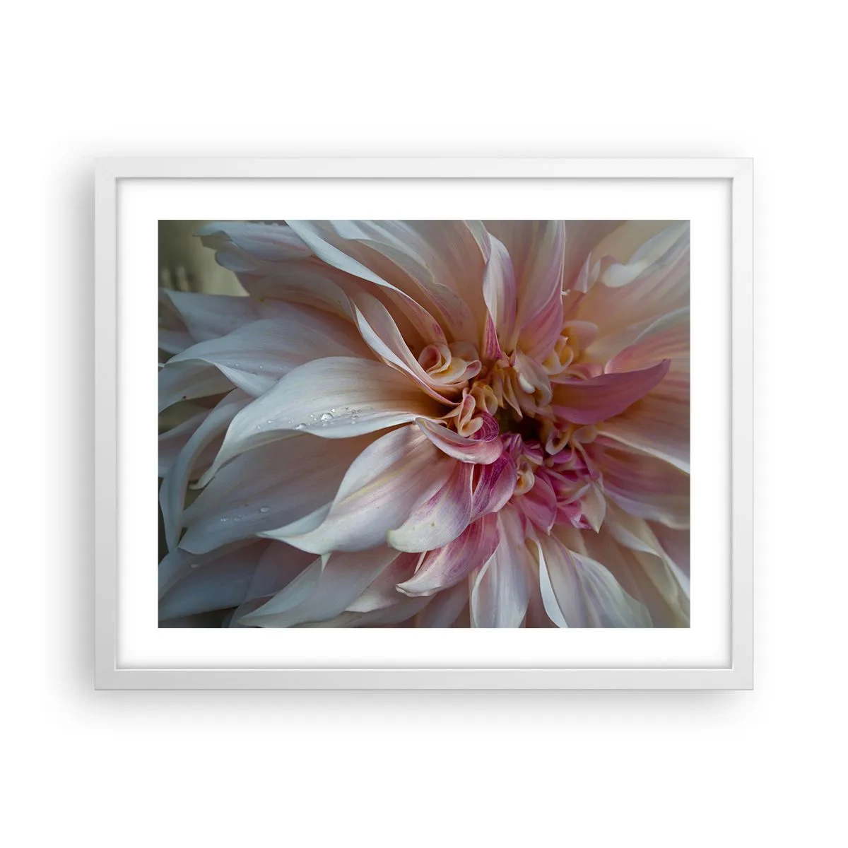 Plakat i hvid ramme - Blomstrende friskhed - 50x40 cm