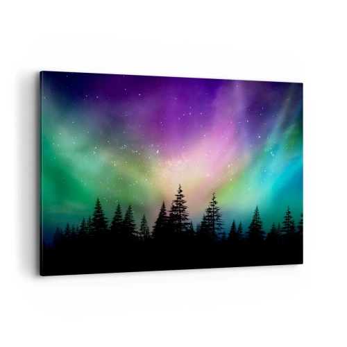 Lærredstryk - Billede på lærred - Hvid magi - 100x70 cm