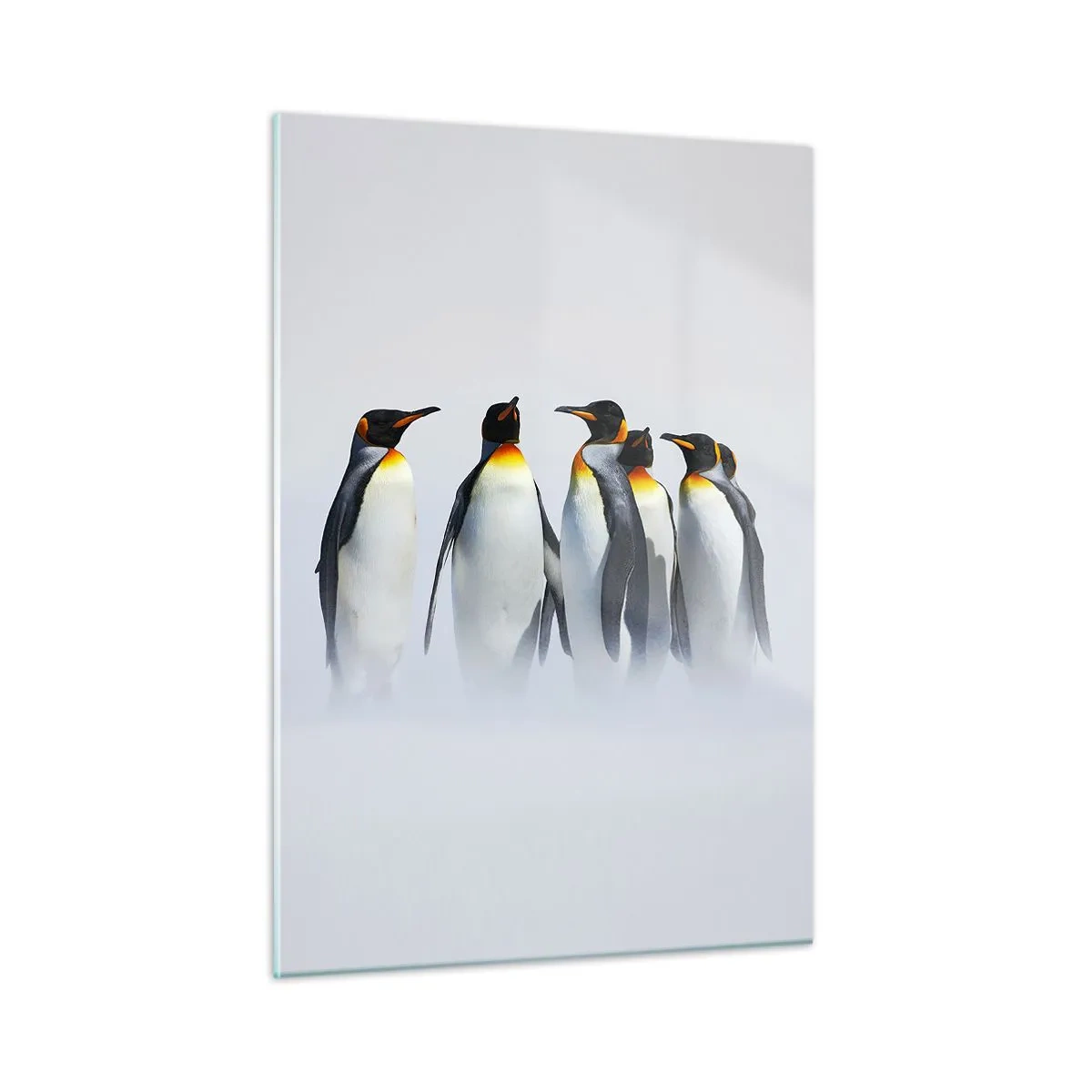 Billede på glas - Møde i aftenkjole - 50x70 cm