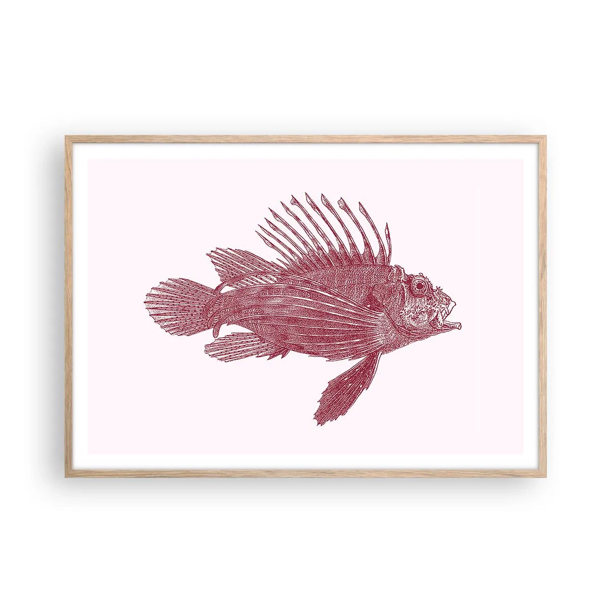 Plakat i ramme af lyst egetræ - En beboer i eksotiske farvande - 100x70 cm