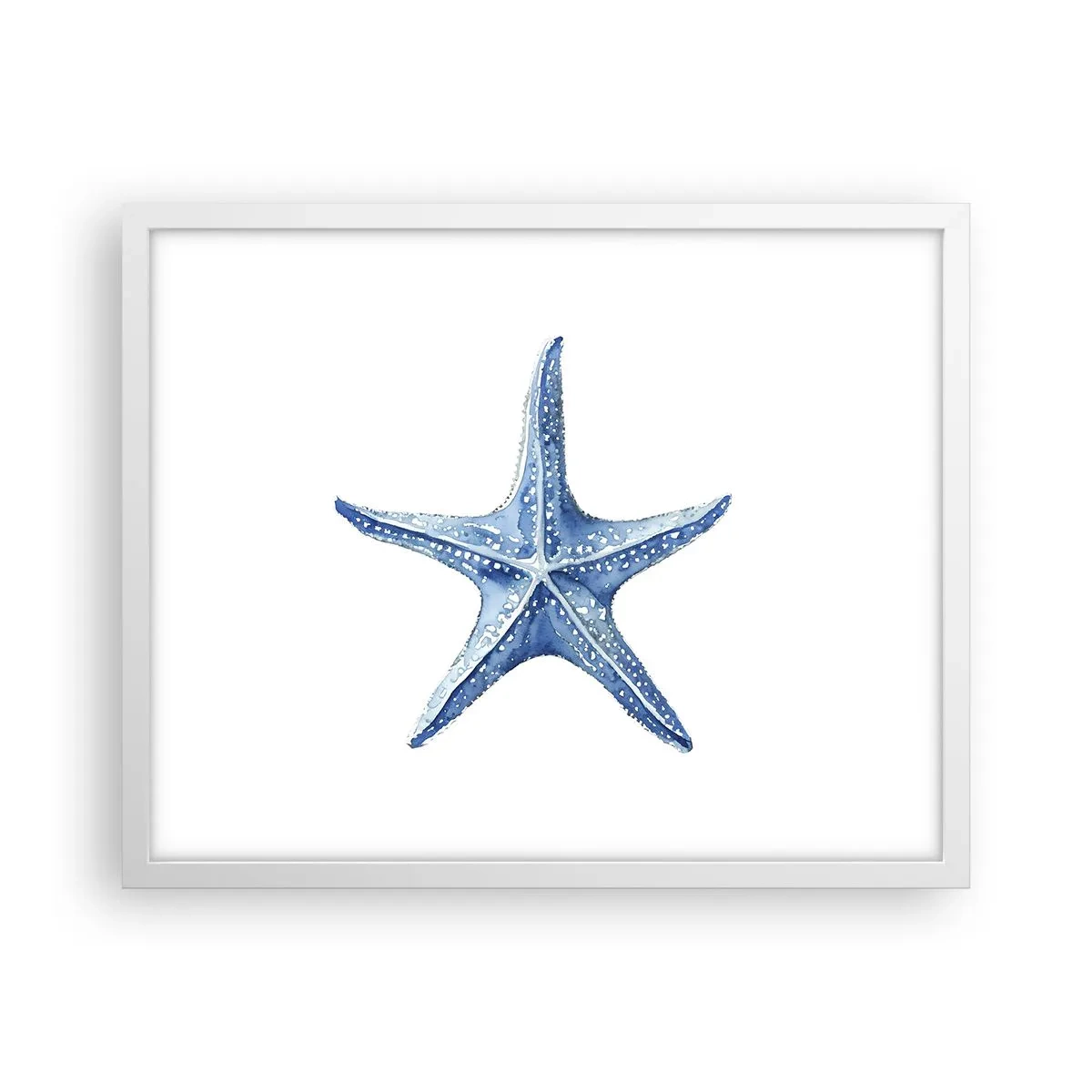 Plakat i hvid ramme - Havets stjerne - 50x40 cm