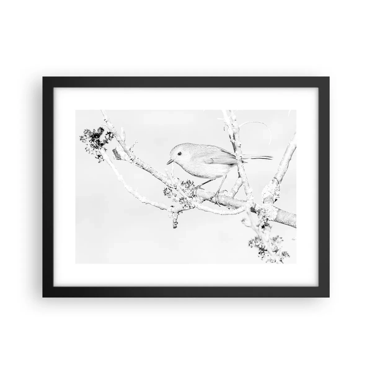 Plakat i sort ramme - Vintermorgen - 40x30 cm