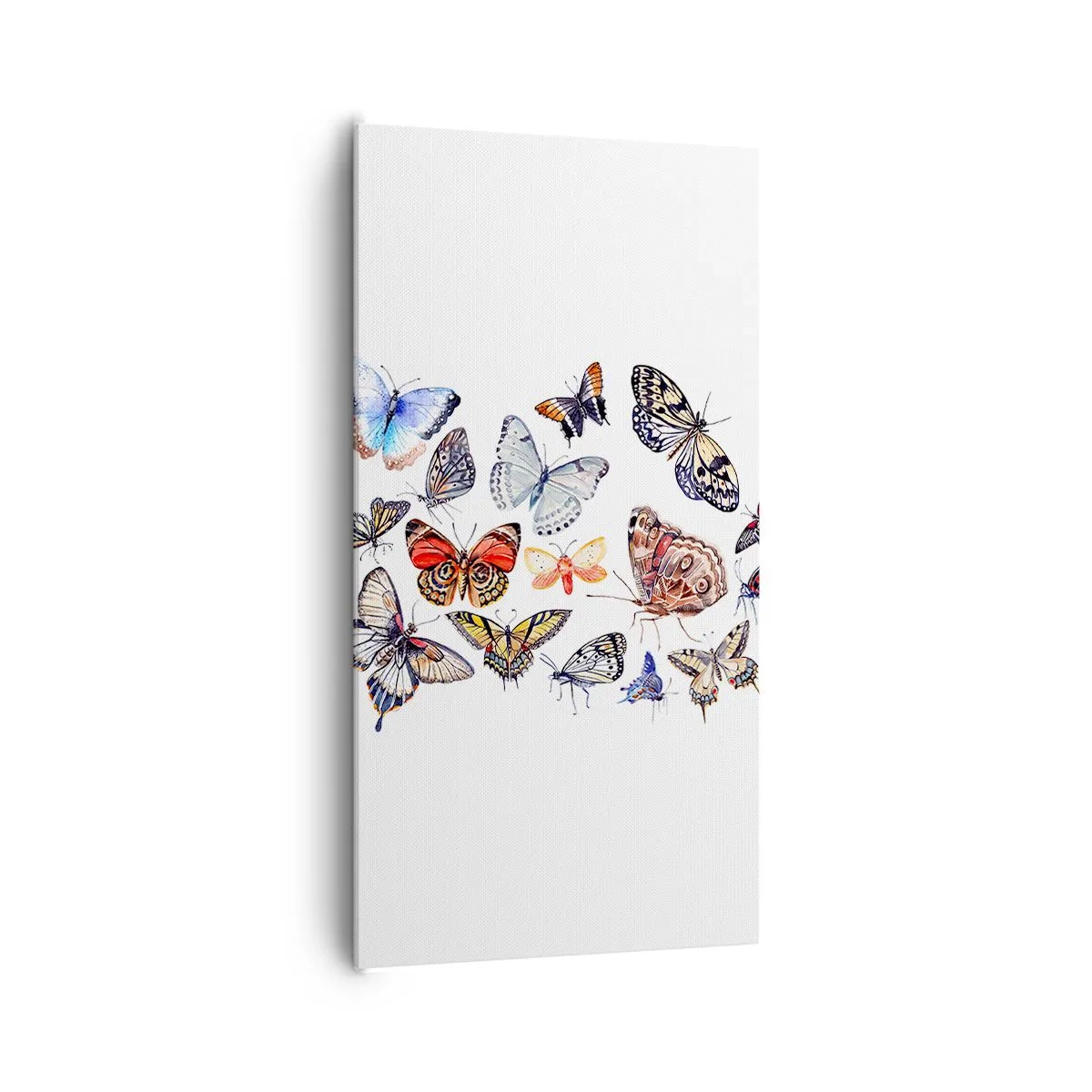 Lærredstryk - Billede på lærred - Blonder, farverig sværm - 65x120 cm