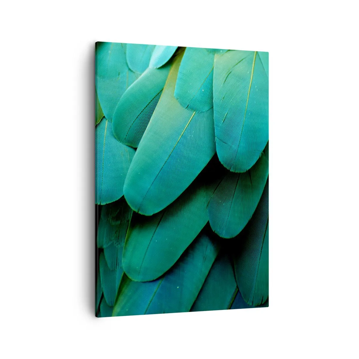 Lærredstryk - Billede på lærred - Papegøjenaturens præcision - 50x70 cm