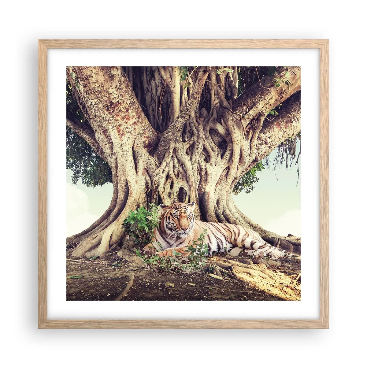 Plakat i ramme af lyst egetræ - Udsigt fra Første Mosebog - 50x50 cm