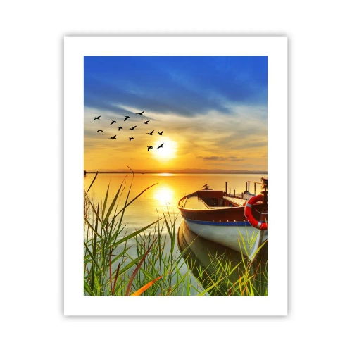 Plakat - Skarverne er allerede på vej væk - 40x50 cm