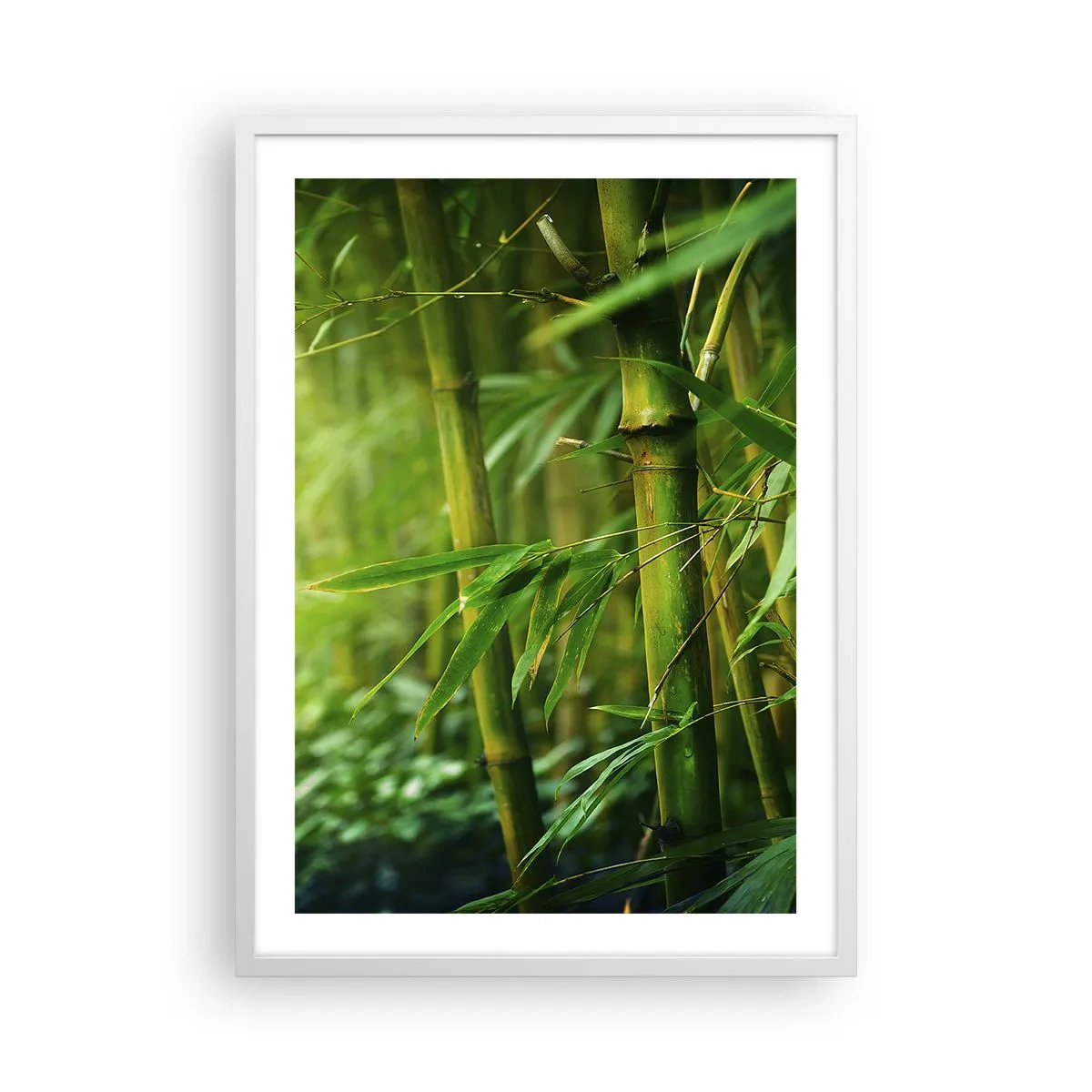 Plakat i hvid ramme - Lær selve det grønne at kende - 50x70 cm