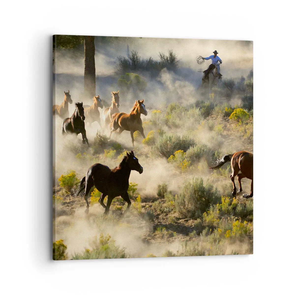 Lærredstryk - Billede på lærred - Rivalisering - frihed eller maskulin kraft? - 70x70 cm