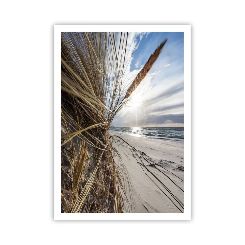 Plakat - Et møde mellem elementerne - 70x100 cm