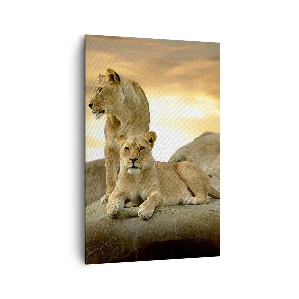 Lærredstryk - Billede på lærred - Kongelig majestæt - 80x120 cm