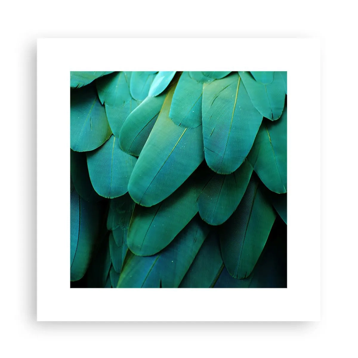 Plakat - Papegøjenaturens præcision - 30x30 cm