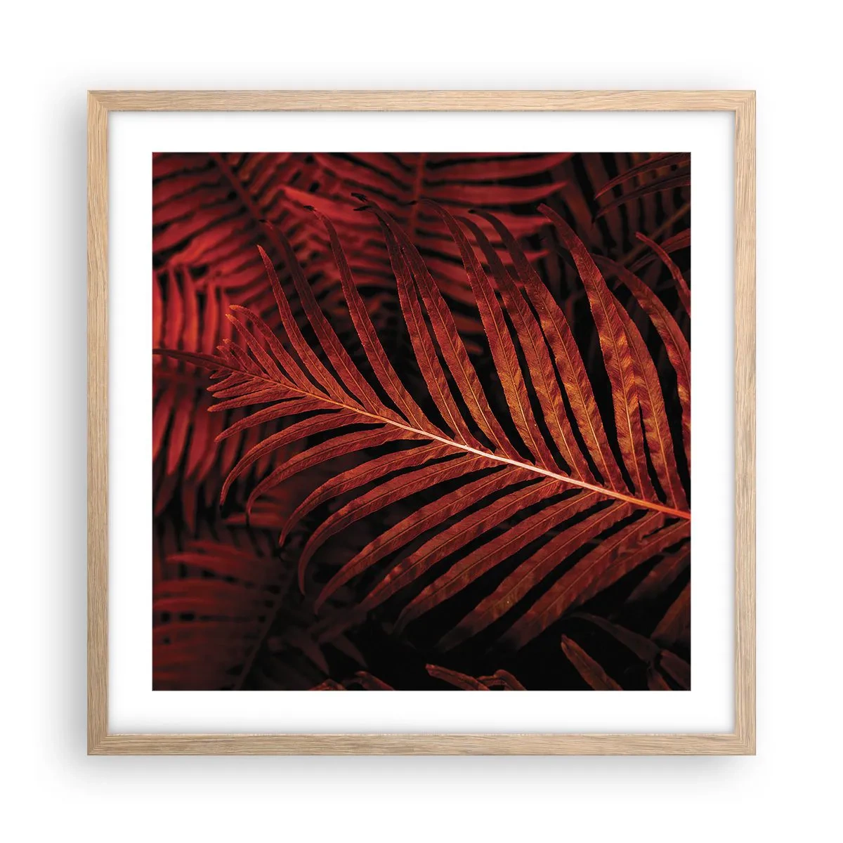 Plakat i ramme af lyst egetræ - Livets varme - 50x50 cm