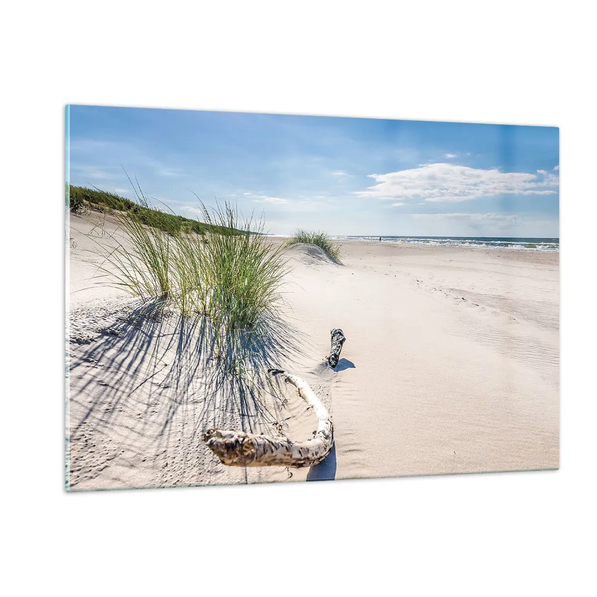 Billede på glas - Den smukkeste? Baltisk - 120x80 cm