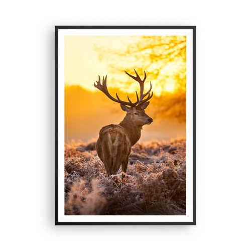 Plakat i sort ramme - Kongen af efterårsskoven - 70x100 cm