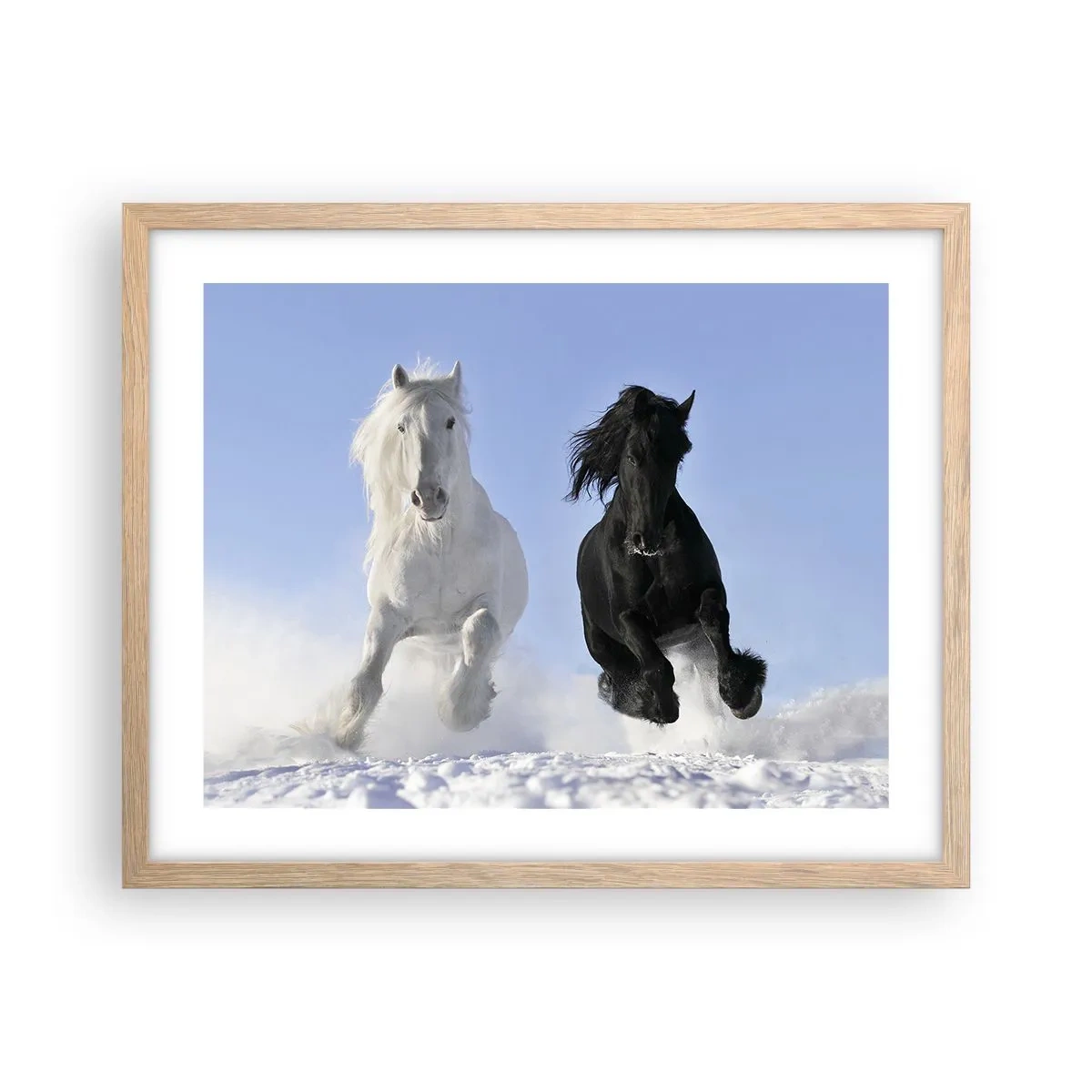 Plakat i ramme af lyst egetræ - Sort og hvid galop - 50x40 cm