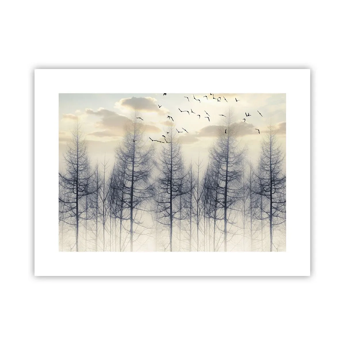 Plakat - Skovånder - 40x30 cm