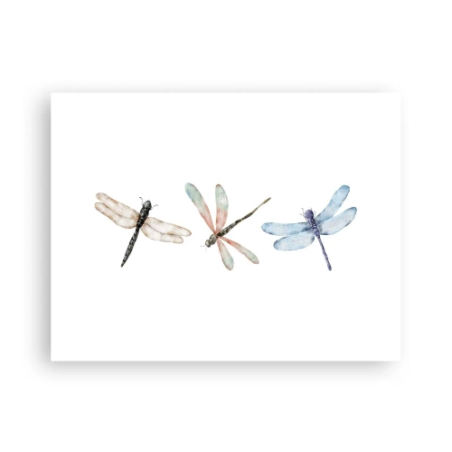 Plakat - Vægtløse guldsmede - 40x30 cm