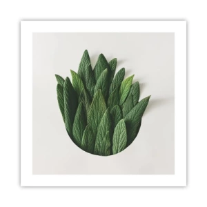 Plakat - Uhæmmet nysgerrighed - 50x50 cm