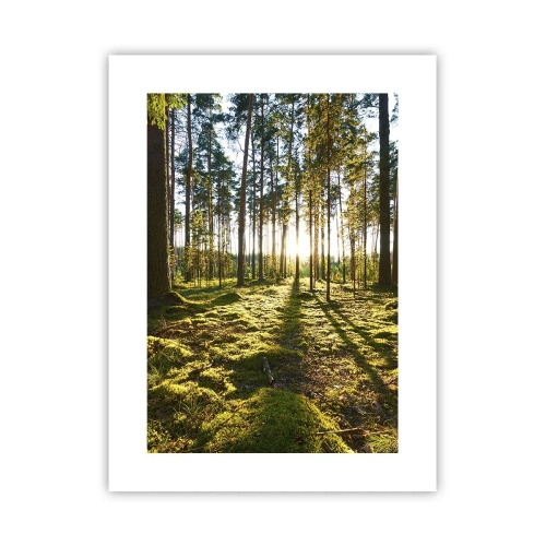 Plakat - ...Bag de syv skove - 30x40 cm
