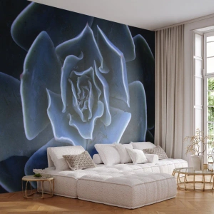 Fototapet Premium Canvas - Ørkenblomst - Agave blomst, Blomst, Natur - 250x175 cm
