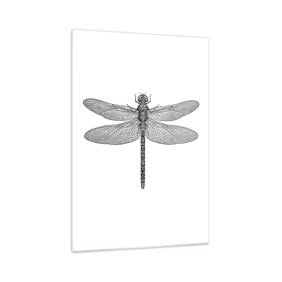 Billede på glas - Præcision i naturen - 70x100 cm