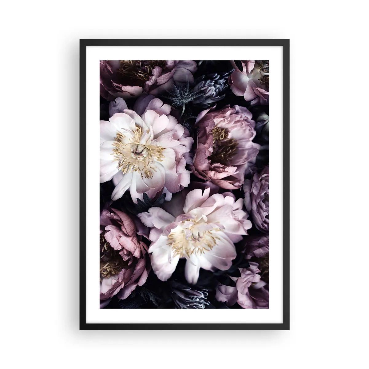 Plakat i sort ramme - Delikate pæonblomster i afdæmpede farver - 50x70cm - Gammeldags buket - Moderne vægdekoration til stue og soveværelse ARTTOR