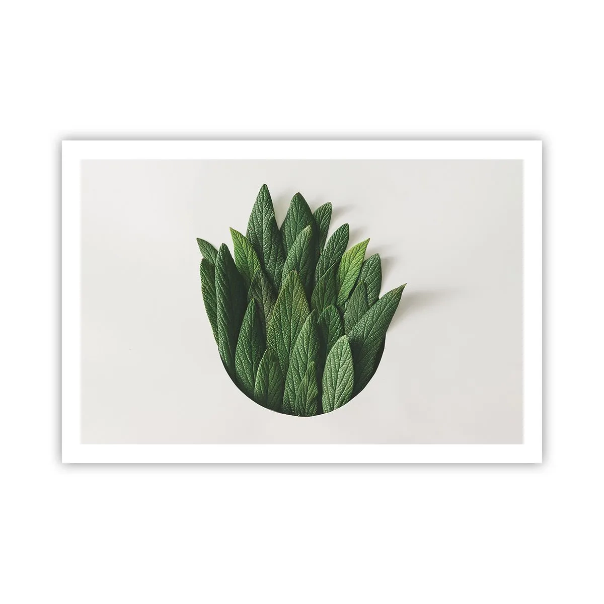 Plakat - Uhæmmet nysgerrighed - 91x61 cm