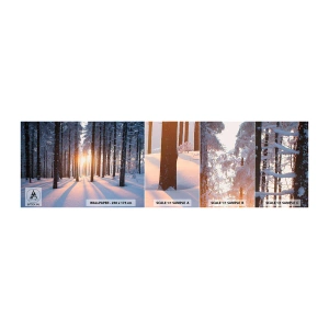 Fototapet Prøve Standard Eco - Klart i sort og hvidt - Landskab, Skov, Sne - 100x30 cm