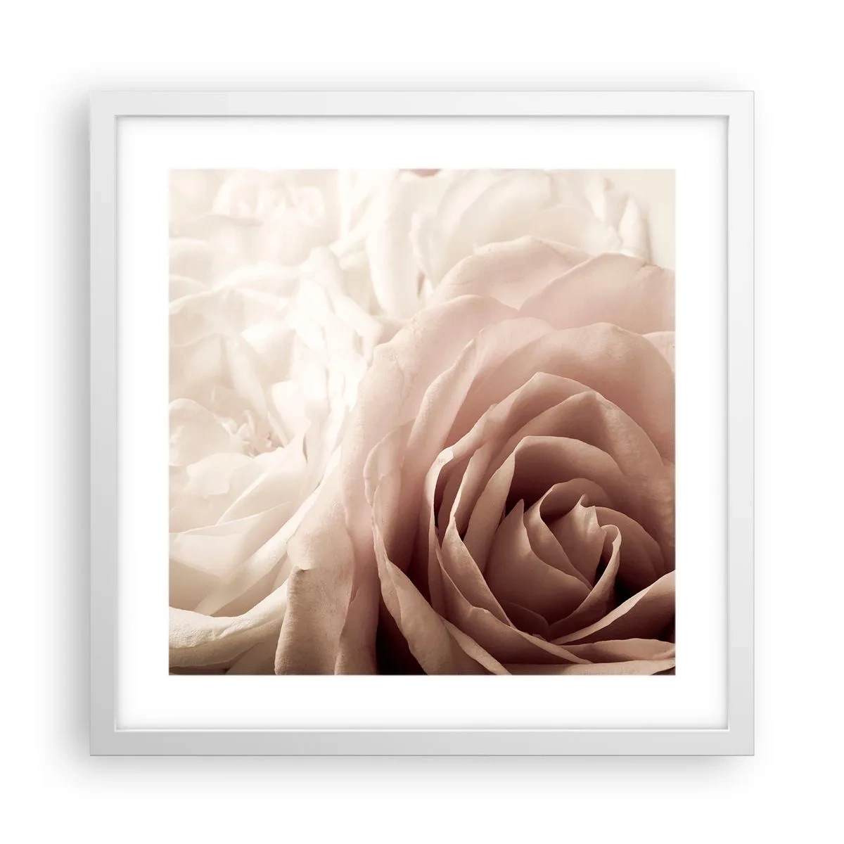 Plakat i hvid ramme - I rosens hjerte - 40x40 cm