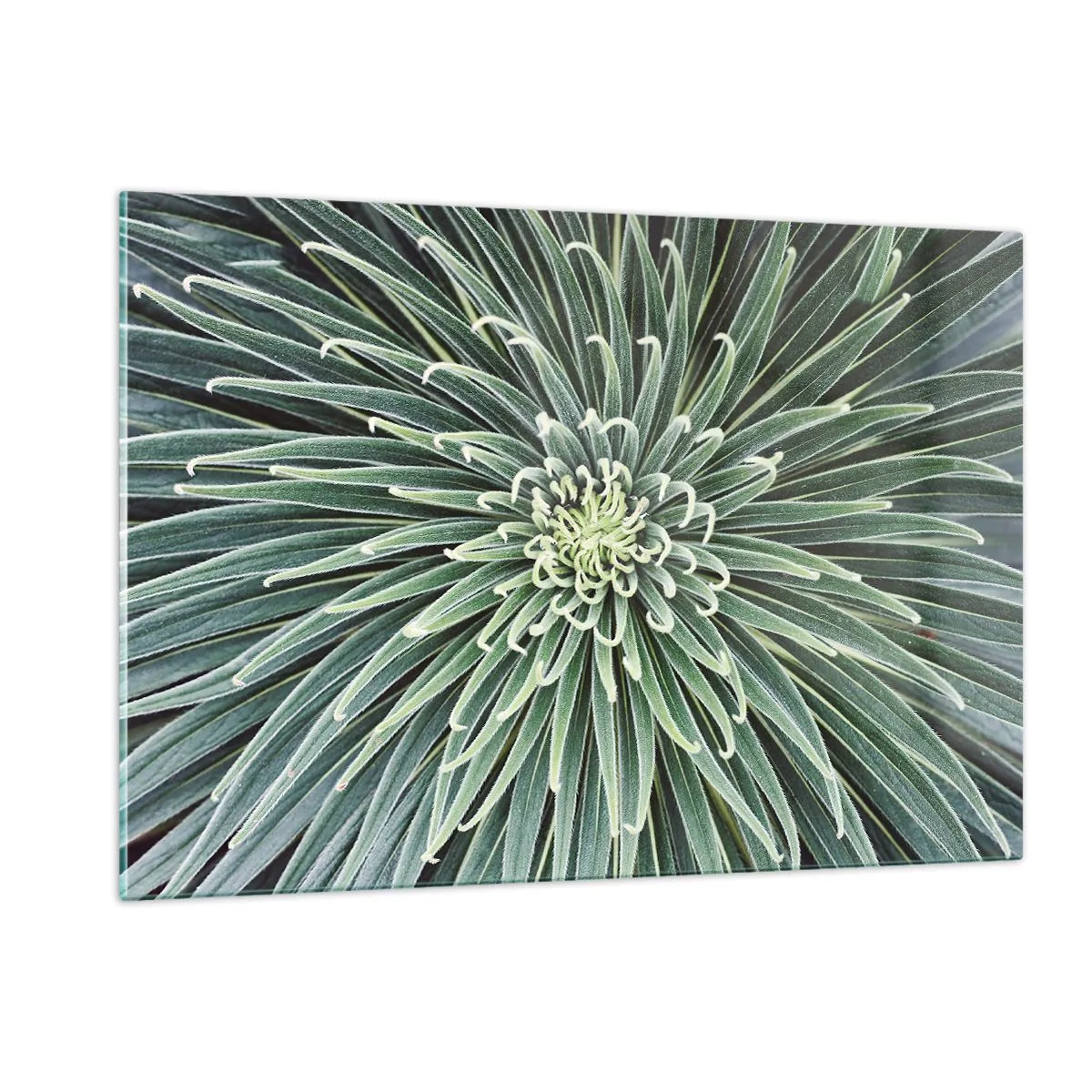 Billede på glas - En stjernes fødsel - 120x80 cm