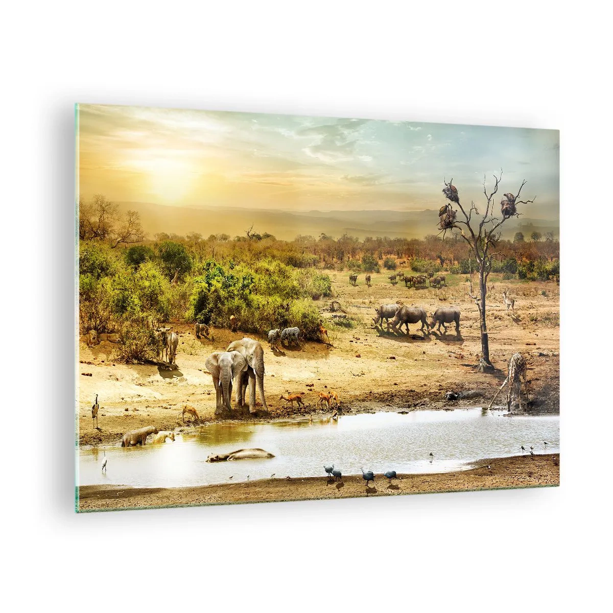Billede på glas - Elefanter og dyr ved et vandhul mod baggrunden af et afrikansk landskab - 70x50cm - "Og ud af Eden flød en flod...". - Moderne vægdekoration til stue og soveværelse ARTTOR