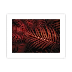 Plakat - Livets varme - 40x30 cm