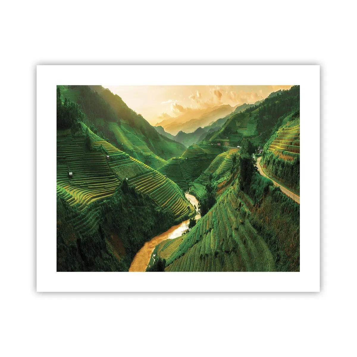 Plakat - Vietnamesisk dal - 50x40 cm