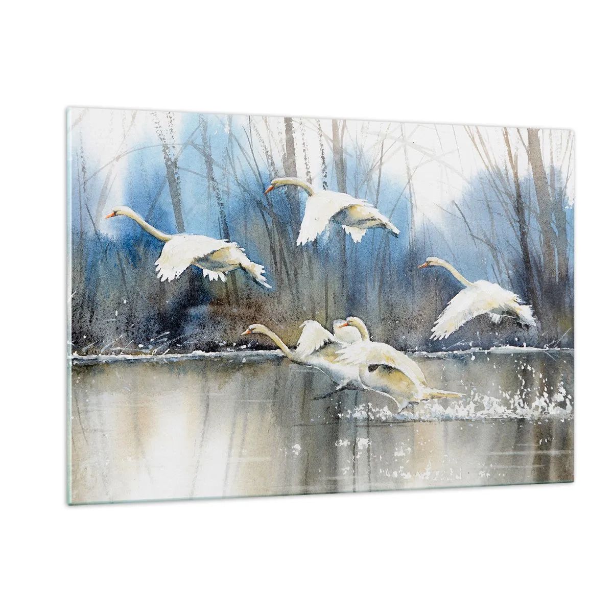 Billede på glas - Som i en fortælling om vilde svaner - 120x80 cm