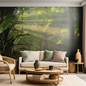 Fototapet på mål Standard Eco - Øjeblik i skoven - Landskab, Skov, Natur