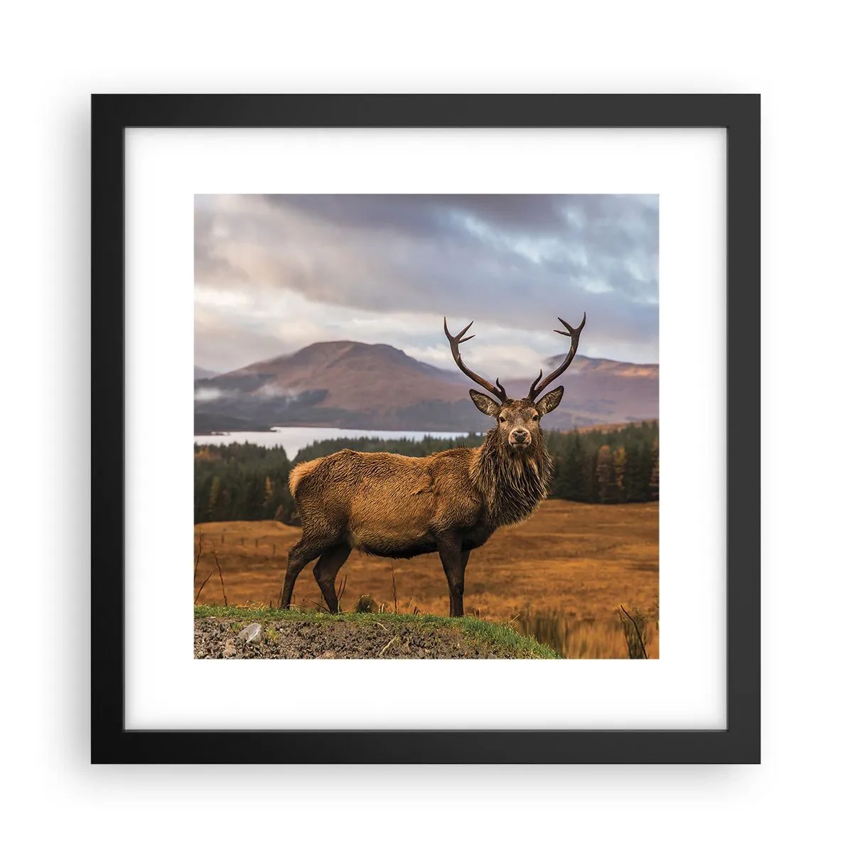 Plakat i sort ramme - Naturens majestæt - 30x30 cm