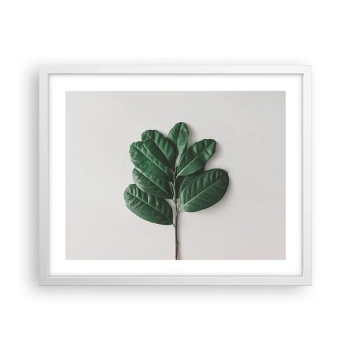 Plakat i hvid ramme - Tegning af selve naturen - 50x40 cm