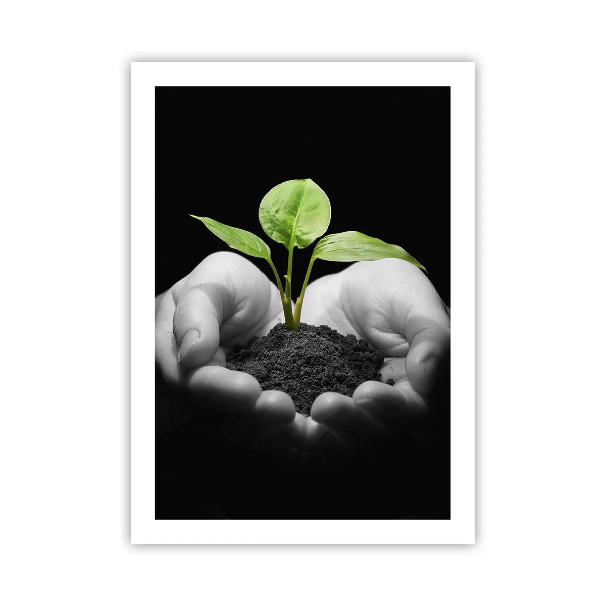Plakat - Jeg elsker naturen, jeg beskytter den - 50x70 cm