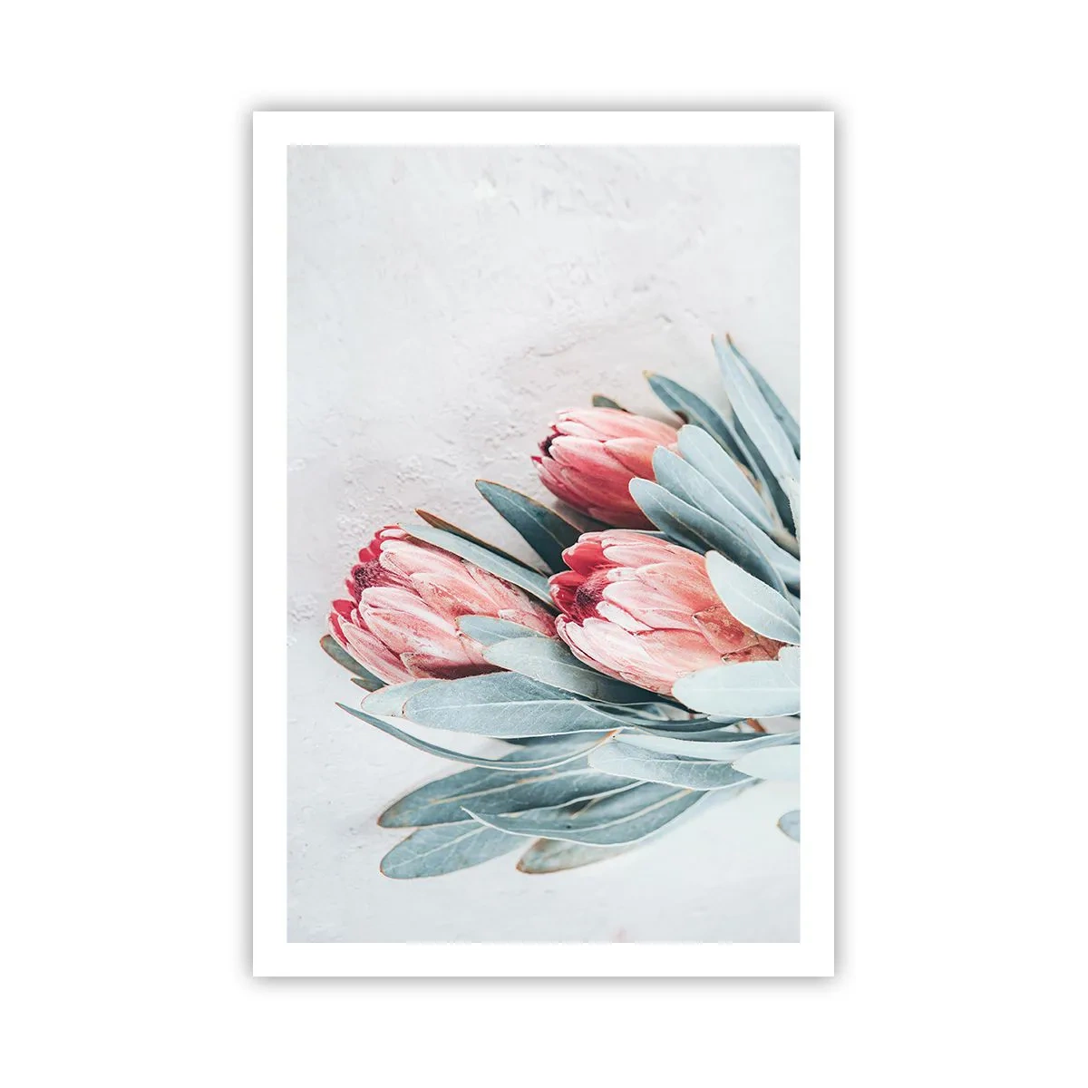 Plakat - Skammer sig over deres egen skønhed - 61x91 cm