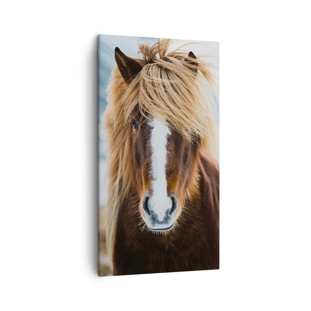 Lærredstryk - Billede på lærred - Kan du mærke friheden? - 45x80 cm