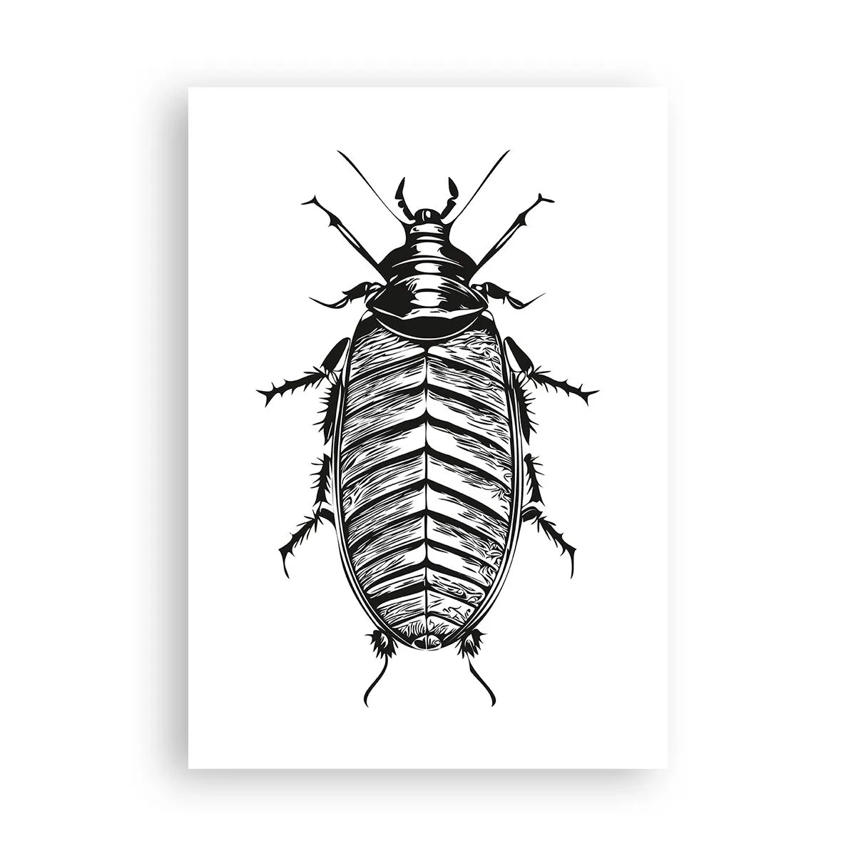 Plakat - Sikke et eksemplar! - 70x100 cm