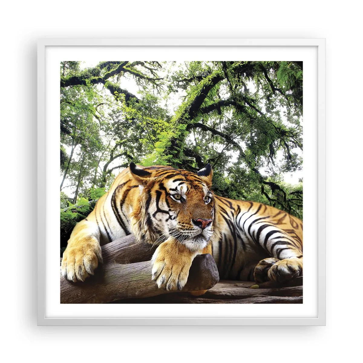 Plakat i hvid ramme - Med venlig hilsen - 60x60 cm