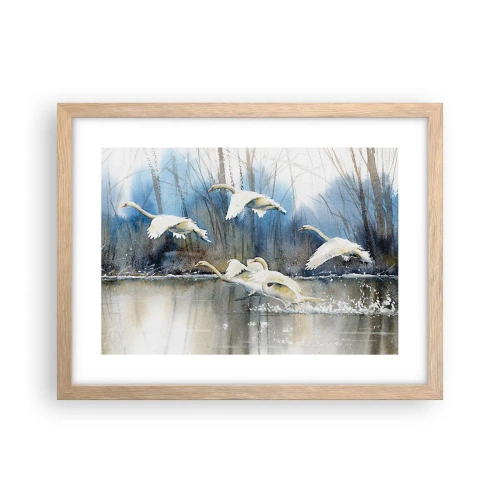 Plakat i ramme af lyst egetræ - Som i en fortælling om vilde svaner - 40x30 cm
