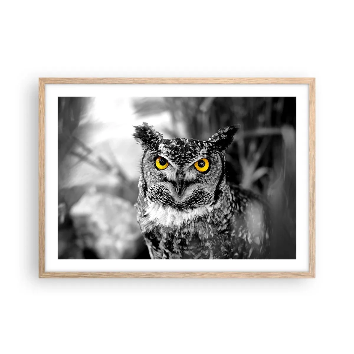 Plakat i ramme af lyst egetræ - Intet kan skjules - 70x50 cm