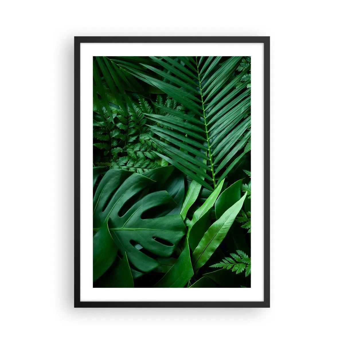 Plakat i sort ramme - Grønne bregner og palmeblade skaber et tropisk mønster - 50x70cm - Kranset i grønt - Moderne vægdekoration til stue og soveværelse ARTTOR