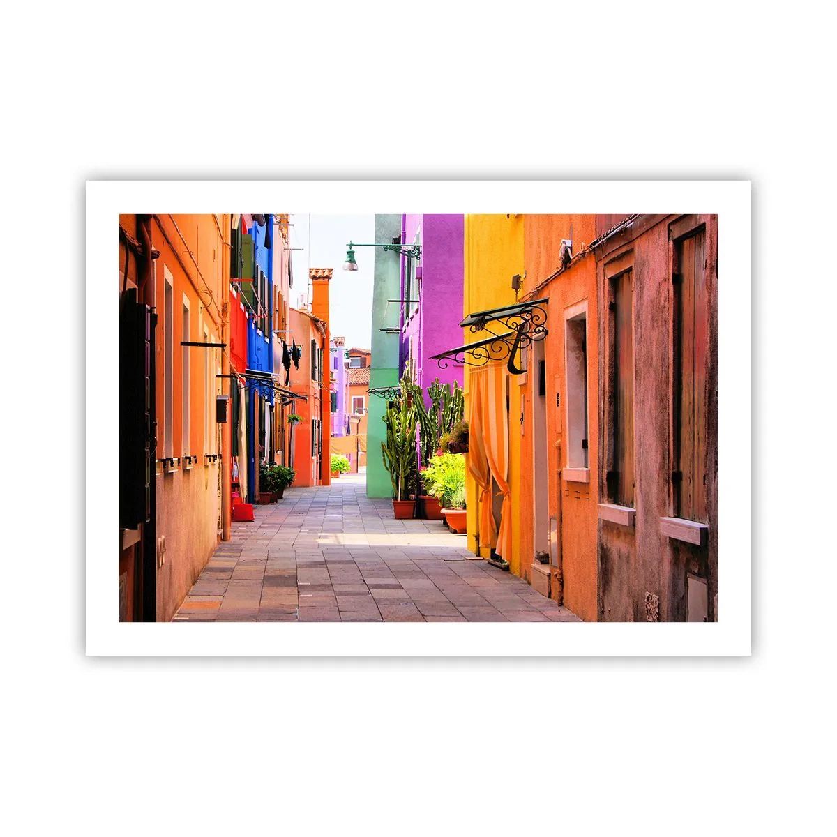 Plakat - Regnbue gyde - 70x50 cm