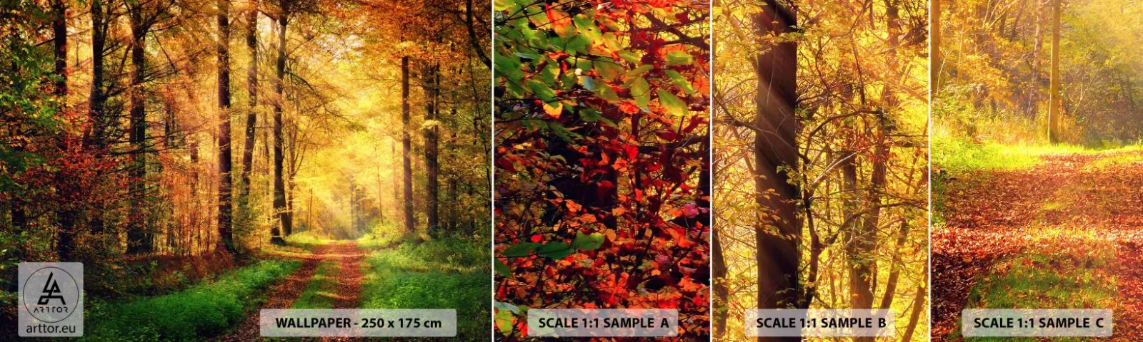 Prøve Fototapet Selvklæbende Deluxe Sticker - Skovgylden stilhed - Landskab, Skov, Skovvej - 100x30 cm