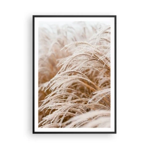 Plakat i sort ramme - Bøjer sig for efterårssolen - 70x100 cm